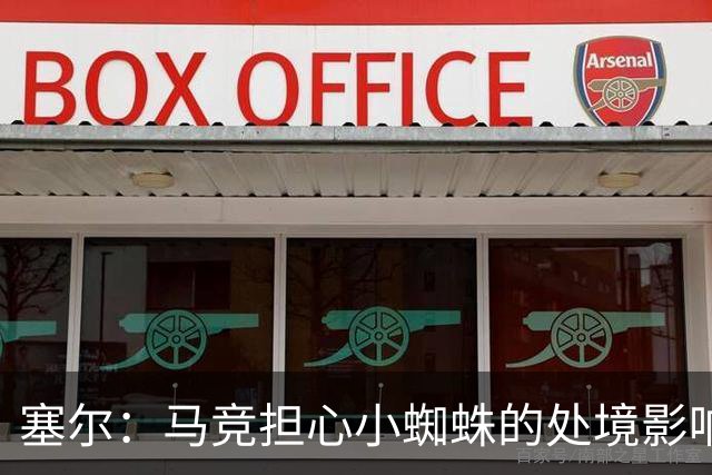 塞尔：马竞担心小蜘蛛的处境影响他赛季初的表现和与周围人的关系